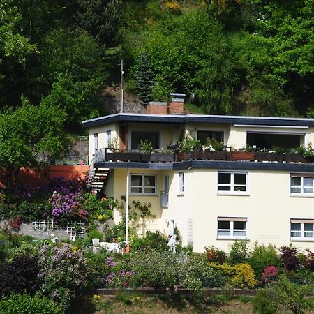 Ferienwohnung Haus Am Sommerberg Ludwigsstadt Kültér fotó