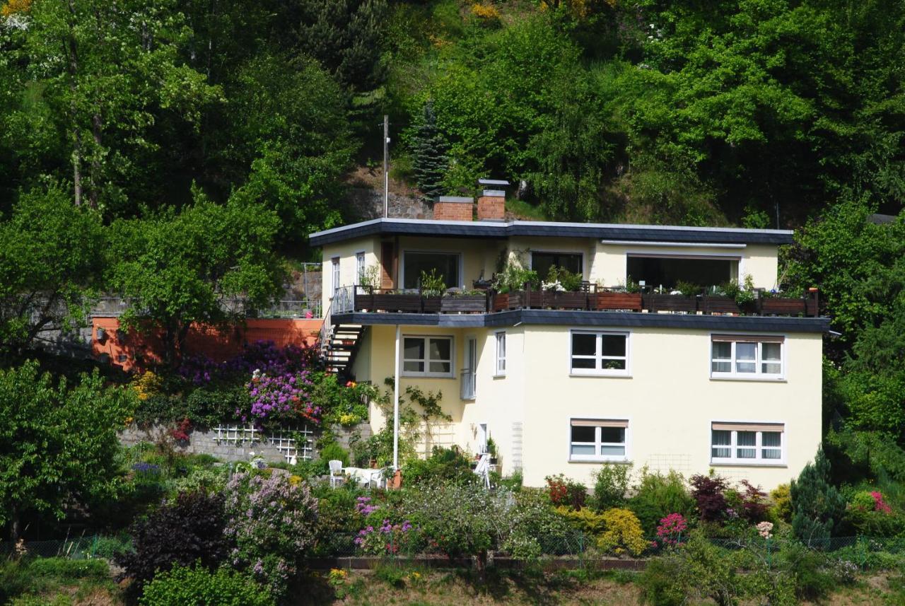 Ferienwohnung Haus Am Sommerberg Ludwigsstadt Kültér fotó